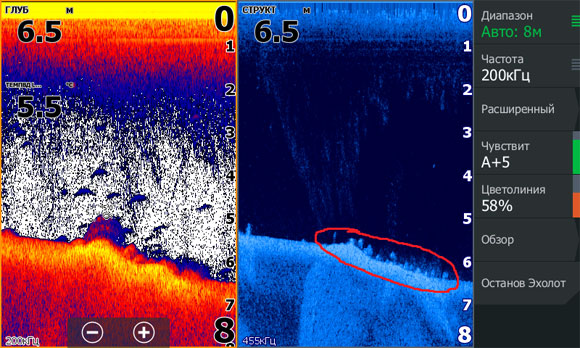 Скриншот с экрана эхолота - так сазан выглядит на нижнем сканере и сонаре