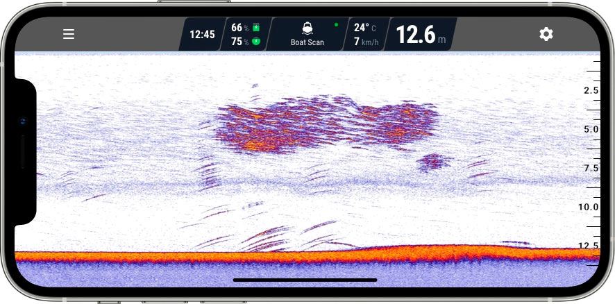 Ехолот Deeper CHIRP+/CHIRP+ 2 - Косяк риби показники ехолота Deeper - Косяк риби