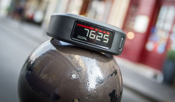 Фитнес-браслет Garmin vivofit Фитнес-браслет Garmin vivofit
