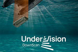 Модуль DownScan Undervision - підводне зображення високої чіткості для Deeper QUEST