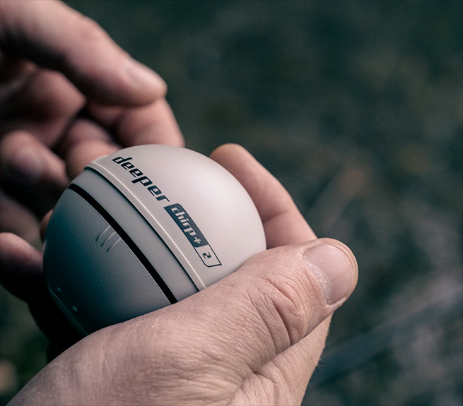 CHIRP+ 2 Arctic Grey - Дизайн CHIRP+ 2 Arctic Grey - Дизайн