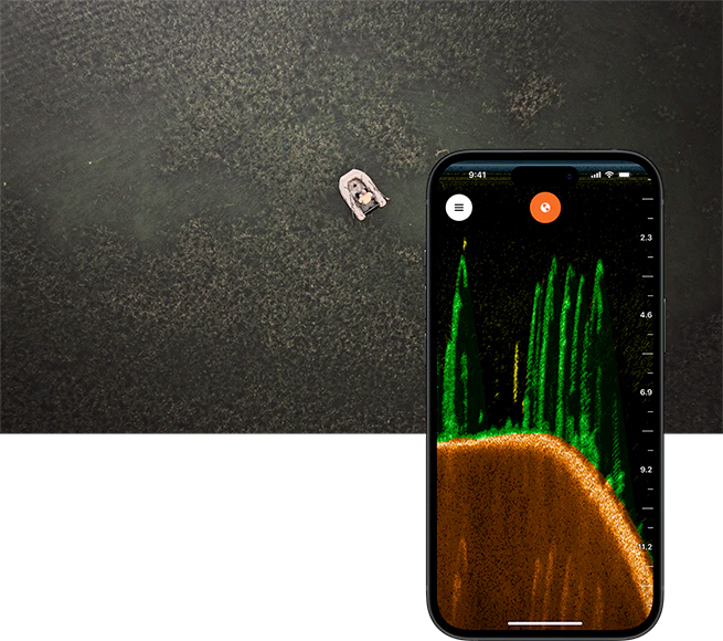 CHIRP+ 2 Arctic Grey - Рослинність CHIRP+ 2 Arctic Grey - Рослинність